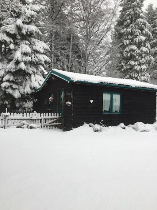 Вилла Chalet De Papitou , Situe Dans Un Coin De Paradis Ставело Экстерьер фото